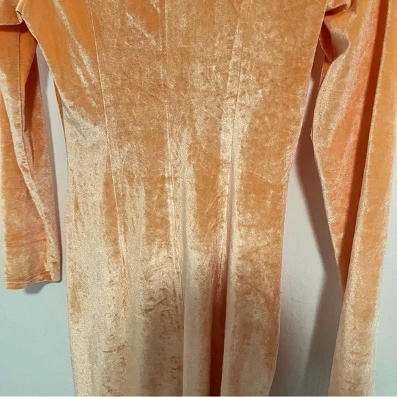 NWT Orange Cider Gathered Velvet
Dress - Picture 5 of 7